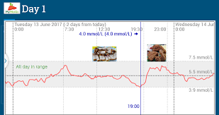 What Does A Freestyle Libre Graph Look Like For A Non