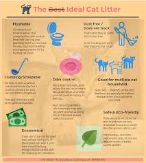 Cat Litter Clump Dust And Hidden Deaths From Lowe To