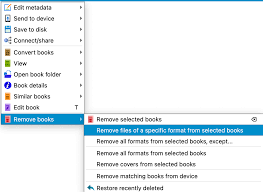 Image result for Open EBook Format