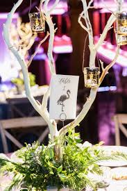 Memphis Zoo Wedding Watercolor Animal Table Numbers Photo By Rob Deanna Zoo Wedding 50th Wedding Anniversary Decorations Aquarium Wedding