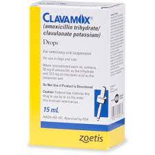 Clavamox Oral Suspension Drops 15 Milliliter Petco