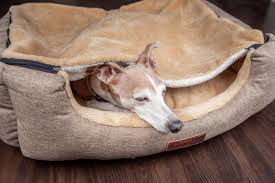As a dog rescue person for 58 years , i purchase safe bedding ! Burrowbed