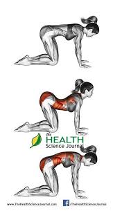 Hatha Yoga A Crowd Favorite Yoga Abs Best Ab Workout Abs Workout For Women