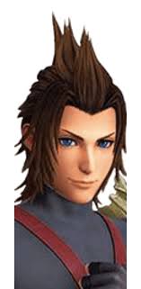 What even is this hairstyle called? : r/KingdomHearts