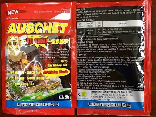 Auschet 80WP