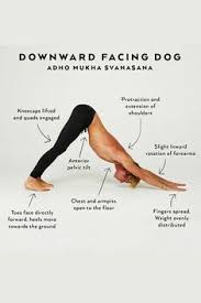 Yoga Poses Workout Downward Facing Dog Yoga Meditation