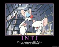 Intj Zinzi Blackbeard Intj Myers Briggs Personality Types Intj And Infj