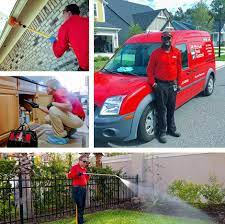 Augustine homeowners and our specialty services also include mole and armadillo removal as well as fire ant control. St Augustine Pest Control Services Turner Pest Control