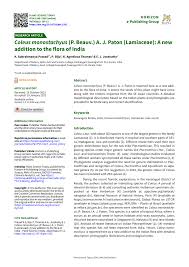 Image result for Coleus betonicifolius