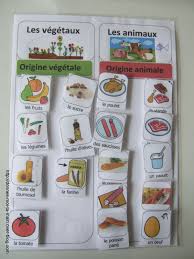 Epingle Sur Alimentation