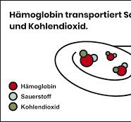 Kohlenmonoxid - Vergiftung - Co macht KO