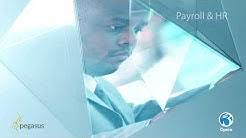 Pegasus opera 3 is a complete business solution that helps you fully integrate all departments in your business, eliminating the need to run separate finance, payroll, crm or service systems. Pegasus Software Youtube