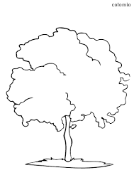 So ist sichergestellt, dass ihr auf jeden fall einen absolut individuellen gutschein überreichen werdet, über den sich der beschenkte richtig freuen wird. Baum Malvorlage Kostenlos Baume Ausmalbilder