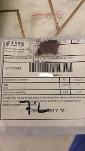 Apples have not been grown from seed for over a century, except for experimental purposes. People Are Receiving An Unsolicited Package Of Seeds From China In The Mail Vvng Com Victor Valley News Group