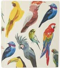 Tropical Birds And Flowers Wallpaper Print Pattern Paperchase New Collections Bird Prints Bird Wallpaper Tropical Birds