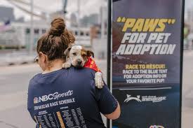 Tropicana avenue, suite 5, las vegas, nv, 89103. Nascar Pup Series Events News Animal League