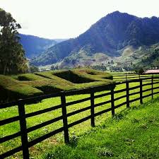 Photos at Cerro Punta