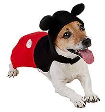 Mickey Mouse Kopek Kostumu Fruugo Tr