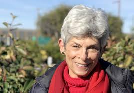 Former LA controller Laura Chick blasts Mejia as "unfit"