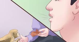 We did not find results for: How To Repel Monkeys From Residential Areas 9 Steps