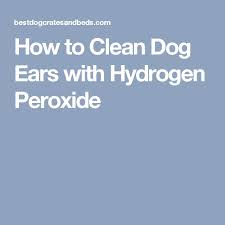 The good news is that you can easily solve that issue easily at home. How To Clean Dog Ears With Hydrogen Peroxide