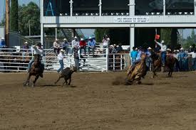 Summers to Tap Iconic Transmission for NFR Heading Debute