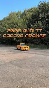 Image result for Papaya Orange 2005 TT