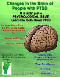 Pin On Ptsd