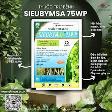Sieubymsa 75WP
