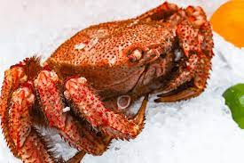 We did not find results for: Can You Freeze Crab Meat Here S What You Should Know