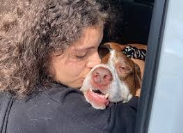 Amanda Bringhurst's Instagram, Twitter & Facebook