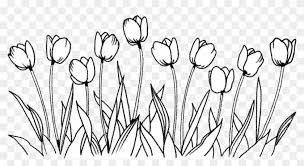 Free printable flower coloring pages! Picture Free Stock Flower Coloring Book Art Tulips Snow Crocus Clipart 886141 Pikpng