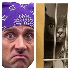 ICanHasCheezburger? added a new photo.