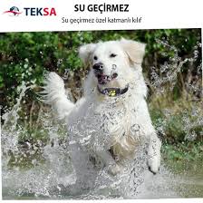 Kedi Kopek Evcil Hayvan Takip Cihazi