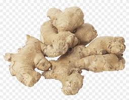 Ginger png images 3,688 results. Free Png Ginger Png Images Transparent Dried Ginger Png Clipart 1757308 Pikpng