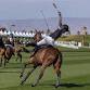 Saturday Polo - TAILGATING - Indio, CA - 3/14 event in Indio, CA