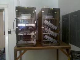 Alibaba.com offers 813 incubator gqf products. Older 1202 Gqf Bator Temp Question Backyard Chickens Learn How To Raise Chickens