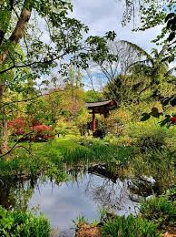 Ein botanischer garten ist eine ausgedehnte gärtnerische anlage, in der fremdländische und einheimische pflanzenarten nach systematischen, pflanzengeographischen, ökologischen, pflanzensoziologischen oder wirtschaftlichen gesichtspunkten geordnet gezeigt werden. Small Pond In The Japanese Garden Aufnahme Von Japanischer Garten Leverkusen Tripadvisor