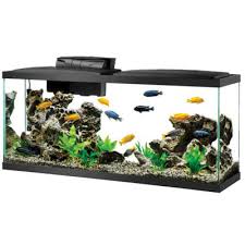 Money back guarantee · free shipping Ultimate Fishkeeping Guide