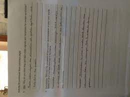 Dna is composed of the go through the process of synthesizing proteins through rna transcription and translation. Rna And Protein Synthesis Gizmo Answers Quizlet Protein Synthesis Worksheet Answer Key Part A