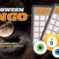 Halloween Bingo + Costume Contest event image