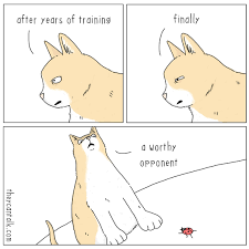 Our battle will be legendary. They Can Talk Showdown Facebook