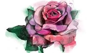 Tatoo rose mandala rose tattoo rose drawing tattoo tattoo drawings rose neck tattoo subtle tattoos pretty tattoos unique tattoos beautiful tattoos small tattoos flower tattoos. Rose Tattoo Design Realism And Watercolor Steemit