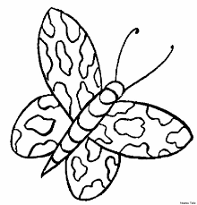 Farfalle 5 Disegni Per Bambini Da Colorare Colorare