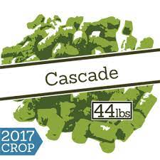 Pin By Shaikhazharuddin On 1234 Home Brewing Craft Brewing Craft Beer