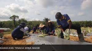 Umum sedia maklum yang isi kandungan bidang vokasional mempunyai komponen teori dan praktikal yang seimbang. Portal Rasmi Kolej Vokasional Dato Lela Maharaja