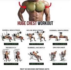 huge chest workout fitness training plan yeah we train