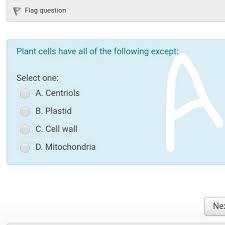 A fully processed mrna typically comprises multiple exons that have been assembled into a single chain following splicing of the nascent primary transcript and the removal of intervening introns. Flag Question Plant Cells Have All Of The Following Chegg Com