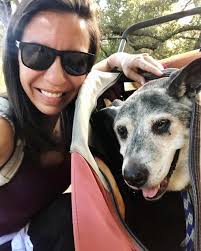 Haley and I hiked Missy and Quidditch together at Grasslands. They did well  together. Missy loves to walk at a good pace and did good alongside my  electric scooter. After going further