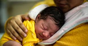 Traci Schmidt Cormier